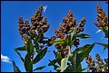 DSC05403.jpg