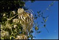 DSC05409.jpg