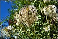 DSC05411.jpg