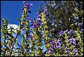 DSC05414.jpg