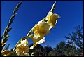 DSC05423.jpg