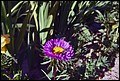 DSC05428.jpg