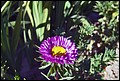 DSC05429.jpg
