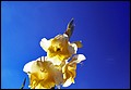 DSC05435.jpg