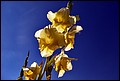 DSC05436.jpg