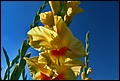 DSC05439.jpg