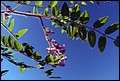 DSC05444.jpg