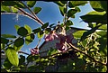 DSC05445.jpg