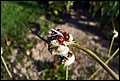 DSC05448.jpg