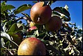 DSC05455.jpg
