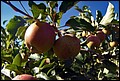 DSC05456.jpg