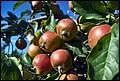 DSC05457.jpg