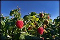 DSC05469.jpg