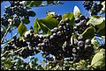 DSC05471.jpg