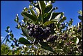 DSC05472.jpg