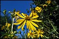 DSC05482.jpg