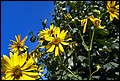 DSC05483.jpg