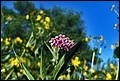 DSC05487.jpg