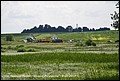 8-06-2013 048.jpg