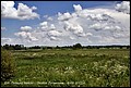 8-06-2013 051.jpg