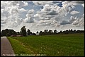 8-06-2013 092.jpg