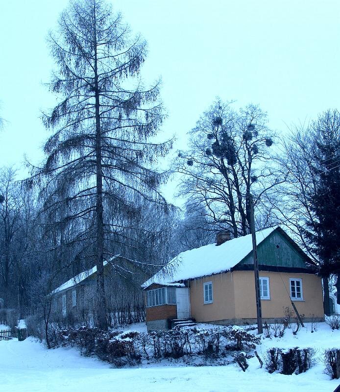 55.jpg