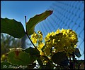 6-05-2013 062.jpg