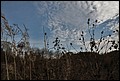20-10-2013 006f.jpg
