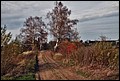 20-10-2013 018f.jpg
