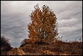 20-10-2013 062f.jpg