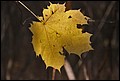 20-10-2013 084f.jpg