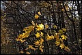 20-10-2013 086f.jpg