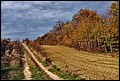 20-10-2013 090f.jpg