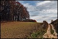 20-10-2013 091f.jpg