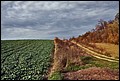 20-10-2013 092f.jpg