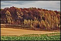 20-10-2013 096f.jpg