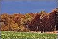 20-10-2013 097f.jpg