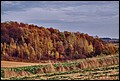 20-10-2013 099f.jpg