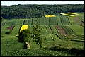DSC09871.jpg
