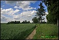 IMG_6942.jpg