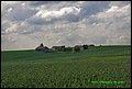 IMG_6943.jpg