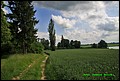 IMG_6944.jpg