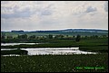 IMG_6948.jpg