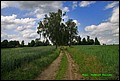 IMG_6949.jpg