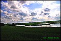 IMG_6954.jpg