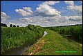 IMG_6957.jpg