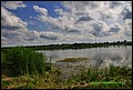 IMG_6958.jpg