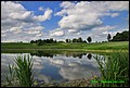 IMG_6963.jpg