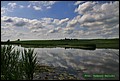 IMG_6964.jpg