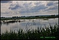 IMG_6972.jpg